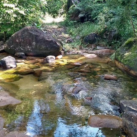Rio Bonito  Hotel Fazenda Monte Crista מראה חיצוני תמונה