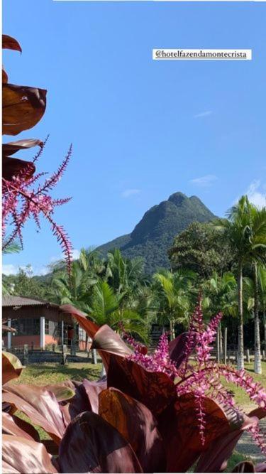 Rio Bonito  Hotel Fazenda Monte Crista מראה חיצוני תמונה